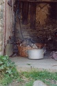 20010723 DAMSEL IN DAIRY
